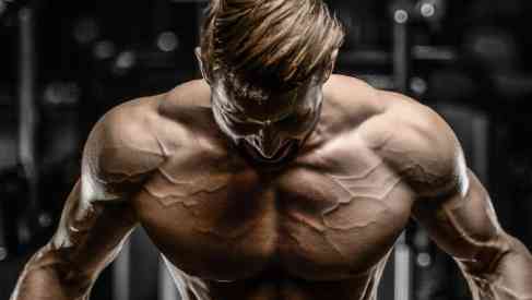 The Bodybuilding Diet and its Legacy