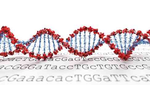 Epigenetic Testing Pattern