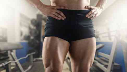 thigh muscle