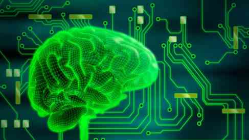 wired human brain